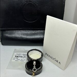 Pandora Sterling Silver Charm with Black Onyx